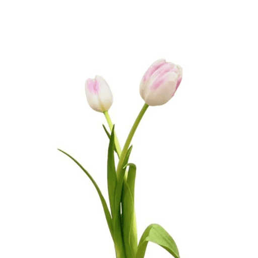 Design : Dawn Bloom Flower