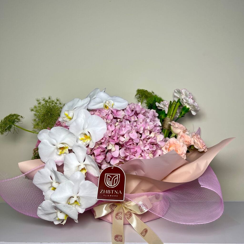 Modest Aura - Image 1