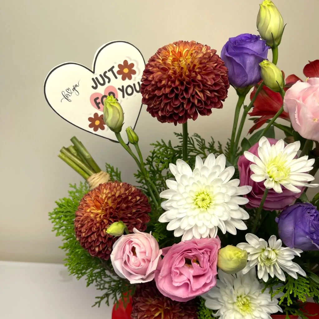 Bundle of Joy - Image 2