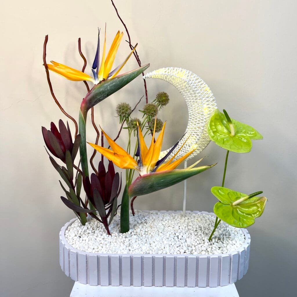 ⁦Exotic Grace⁩ - الصورة ⁦1⁩