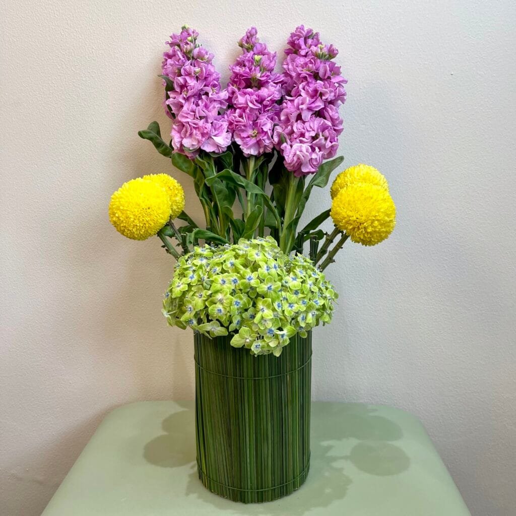 ⁦Glimpse of Hues & Rays⁩ - الصورة ⁦1⁩