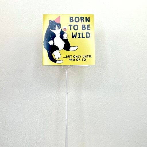 Born To Be Wild Card