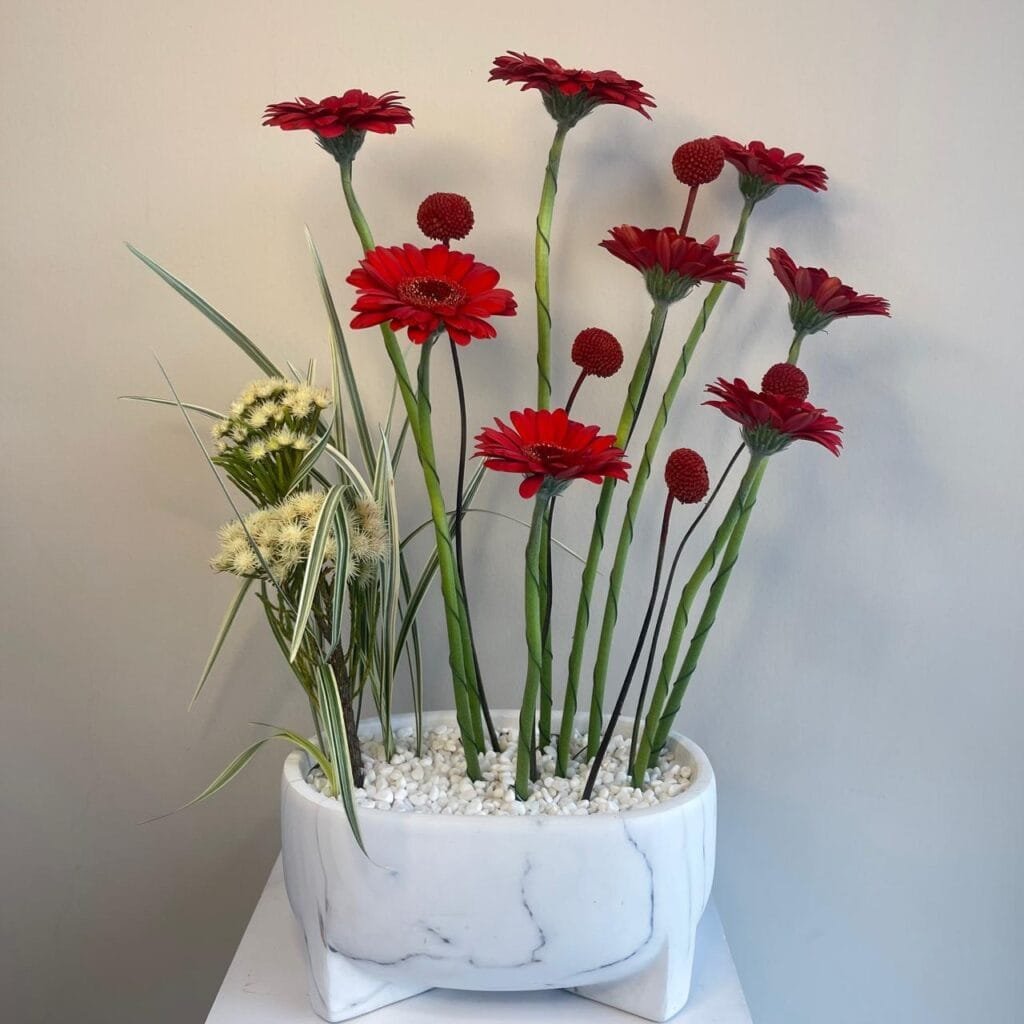 Posh Crimson - Image 1