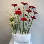 Posh Crimson