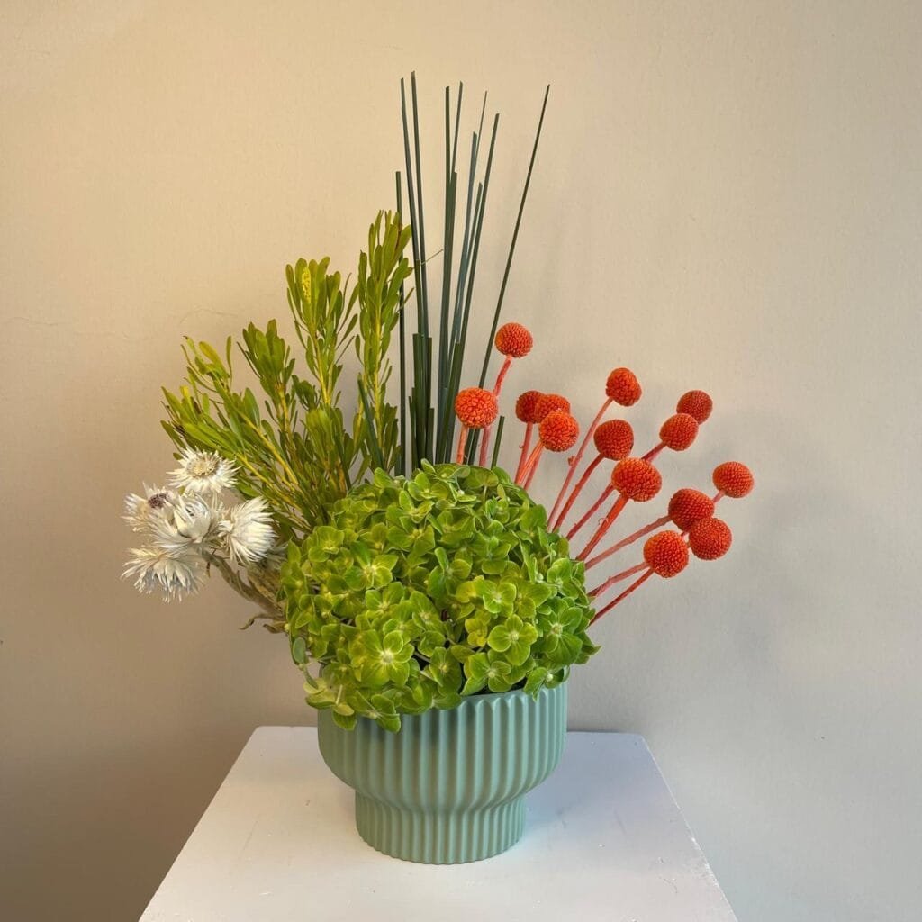 Vibrant Mellow - Image 1