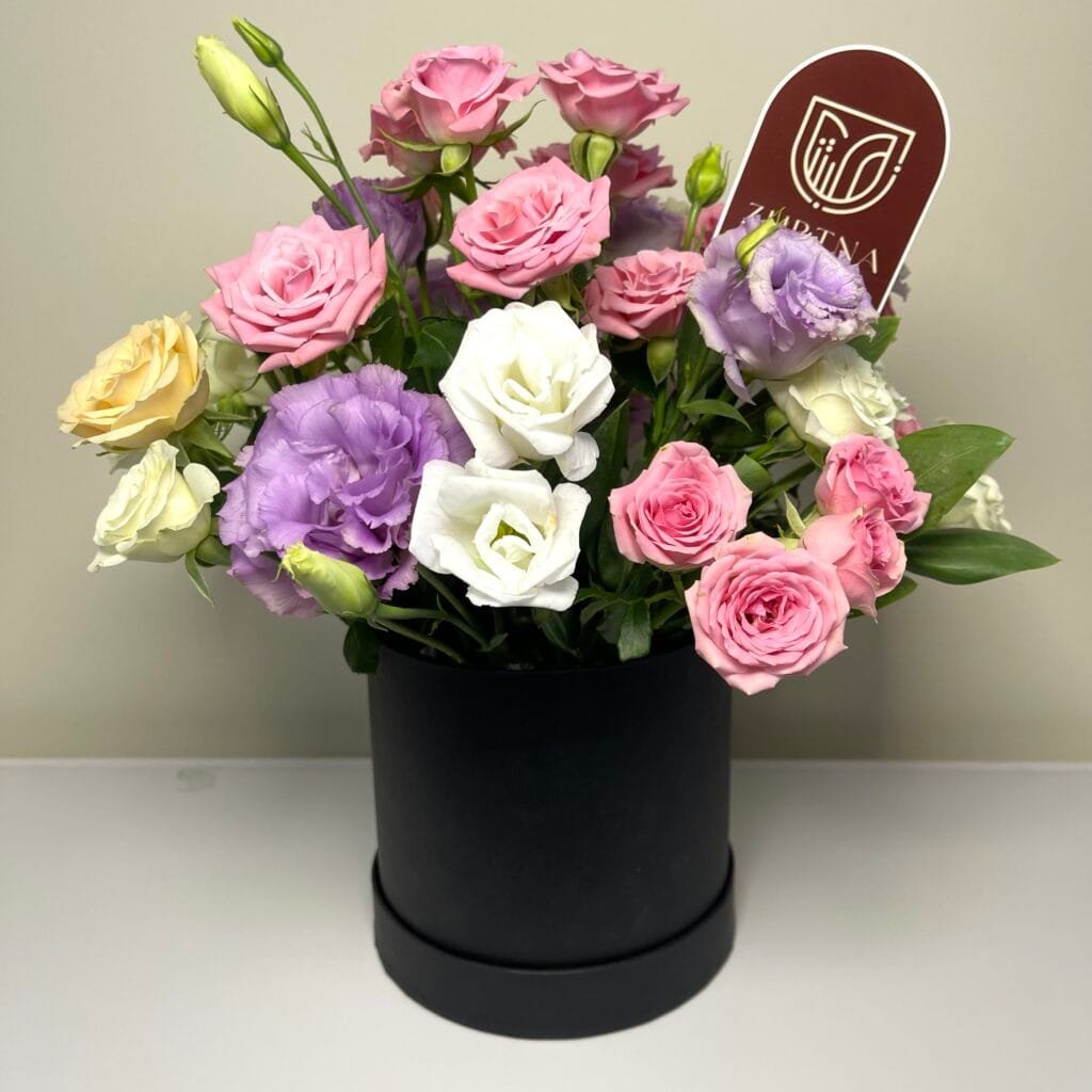 Painted Skies - Image 1