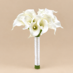 Lilly Dreams